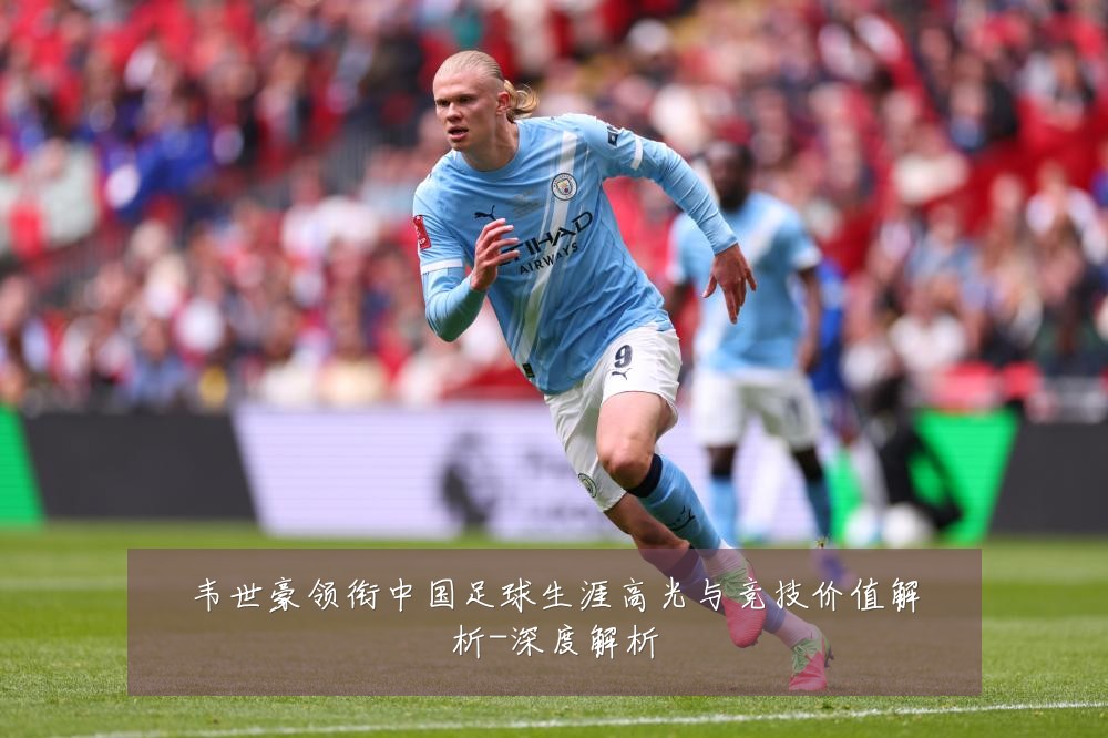 韦世豪领衔中国足球生涯高光与竞技价值解析-深度解析
